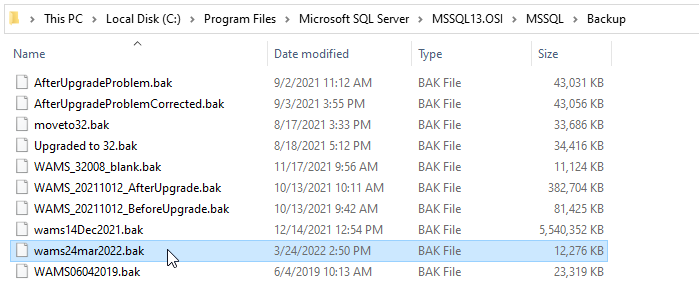Image of the list of the backups highlighting the back up made using these steps